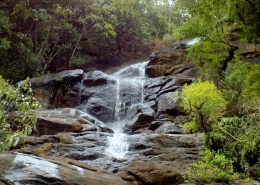 falls